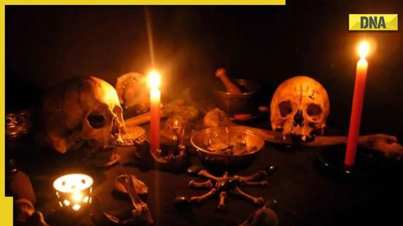 Esoteric symbolic interpretation of occult blood showing a glowing ancient scroll and vital life force symbols